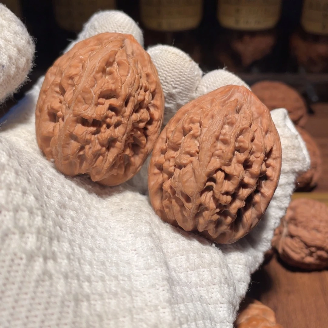 核桃43洪锦鲤lllllll