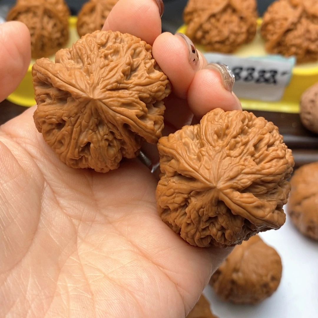 及***.文玩核桃把件562号粗筋