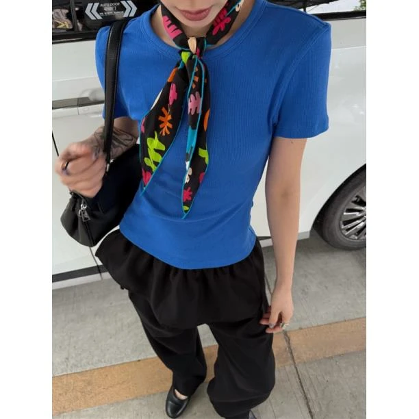 HELLOTANGO《调色美学》极简高级感坑条弹力显瘦修身刺绣T恤85025#