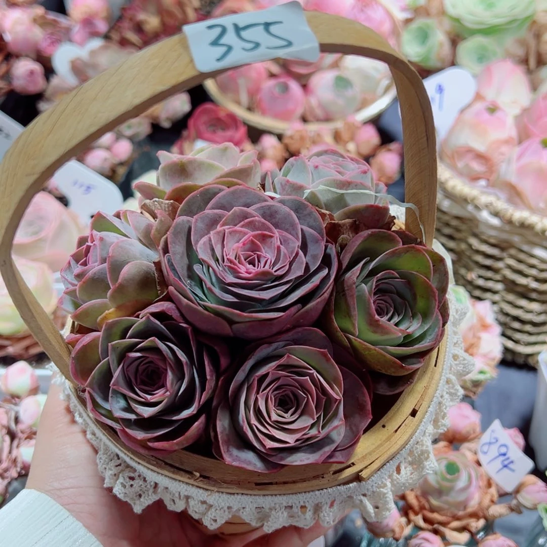 355一篮紫色玫瑰组合。