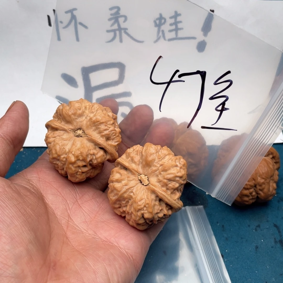 核桃573573573573537573753573