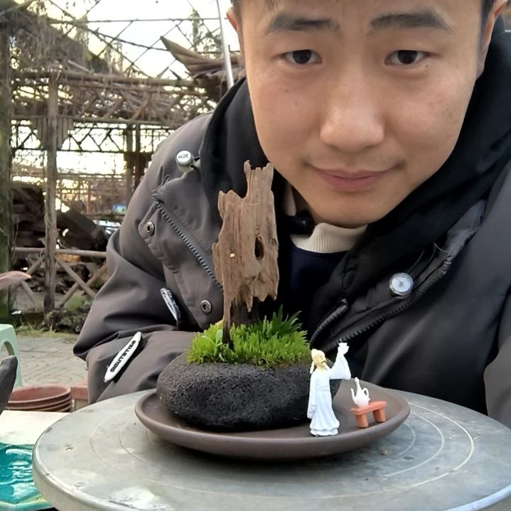 小**豆小盆景小植物一物一拍148