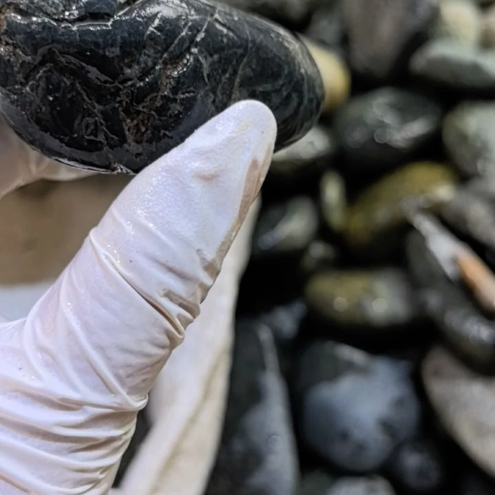 火***树木藏玉药王石原石