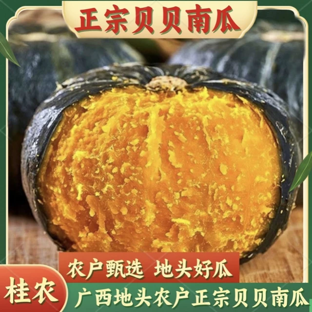 2斤金贝贝南瓜正宗板栗味惠和金粉一号现摘粉糯甜宝宝辅食