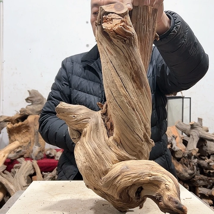 柏木养**?我们的生活也是