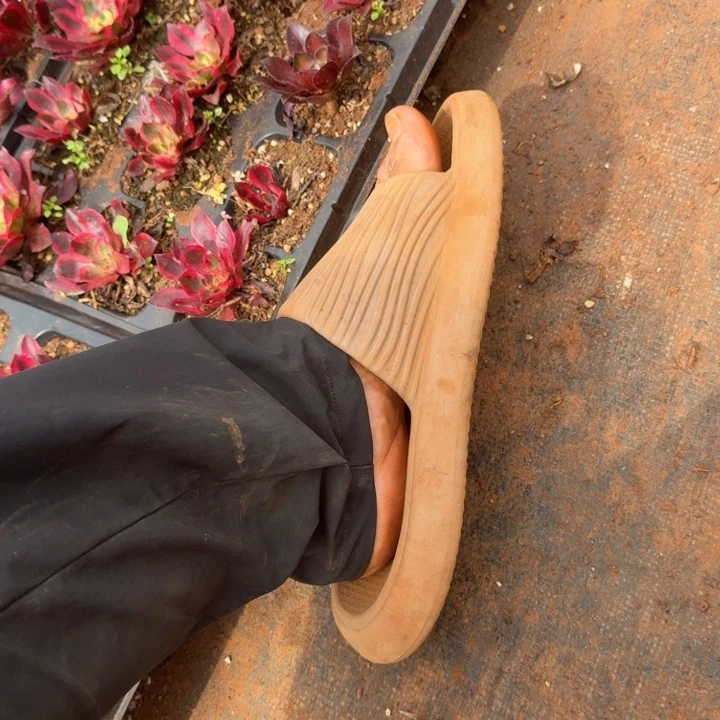 墨染主头啊啊啊啊