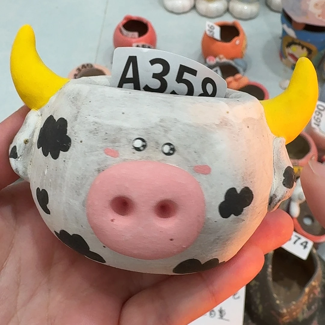 手工瑕疵多肉花盆