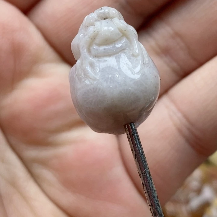 颈饰未镶嵌硅化珊瑚（珊瑚玉）小