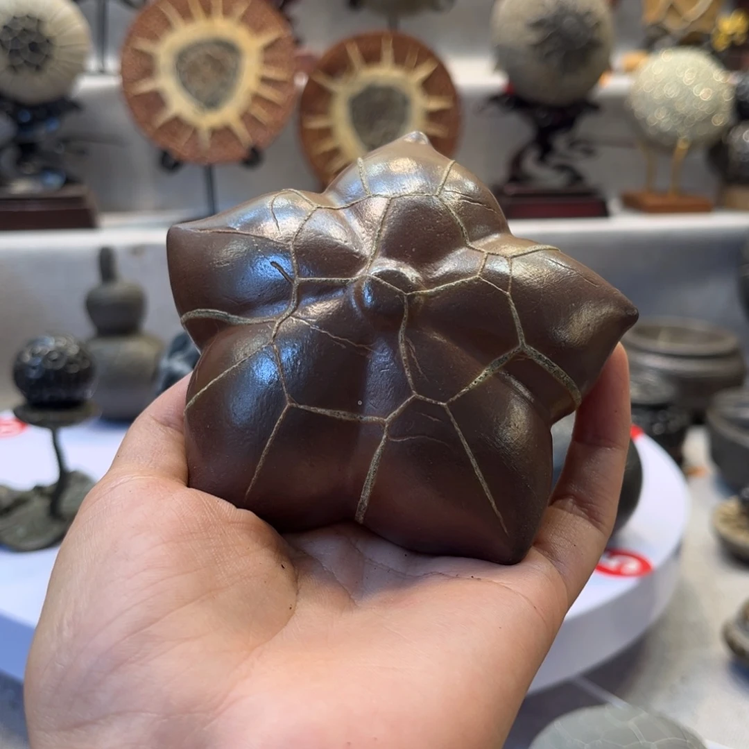 博***亿石材龟纹石精品系列