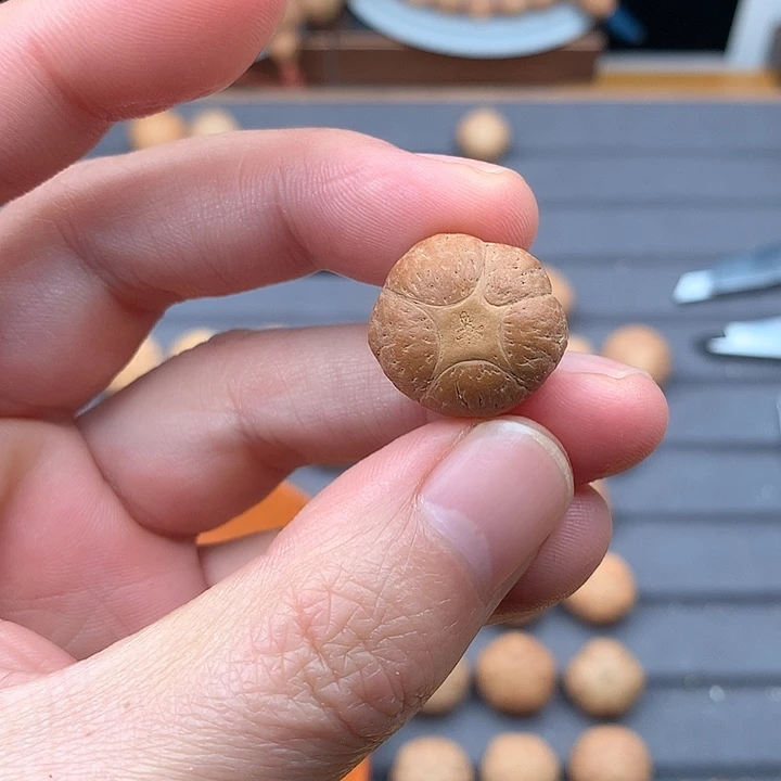 吊坠凤眼菩提20+五星，非质量问题开孔不退