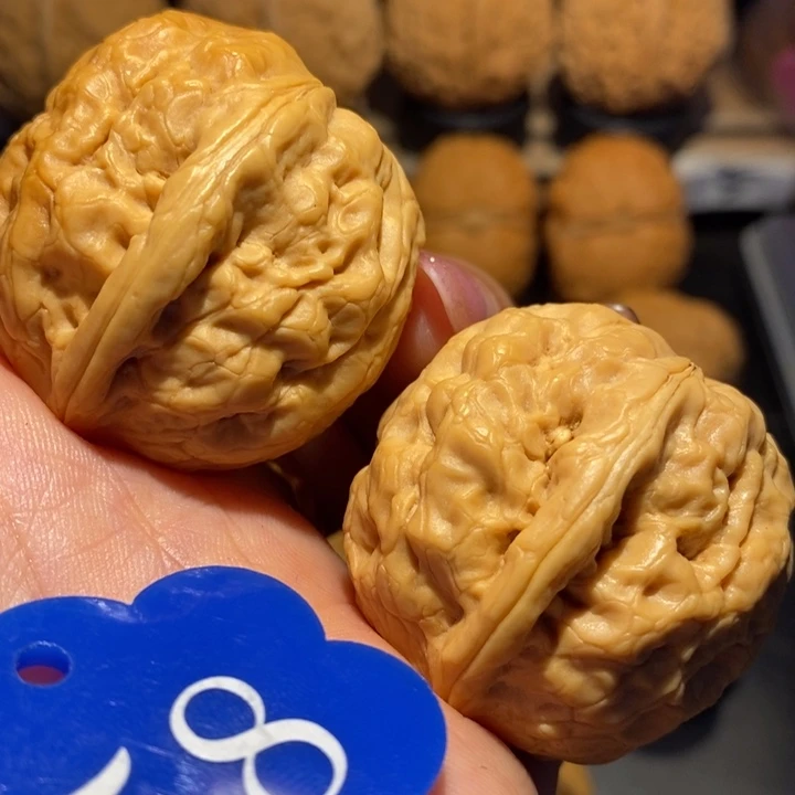 核桃富贵牡丹尺寸37