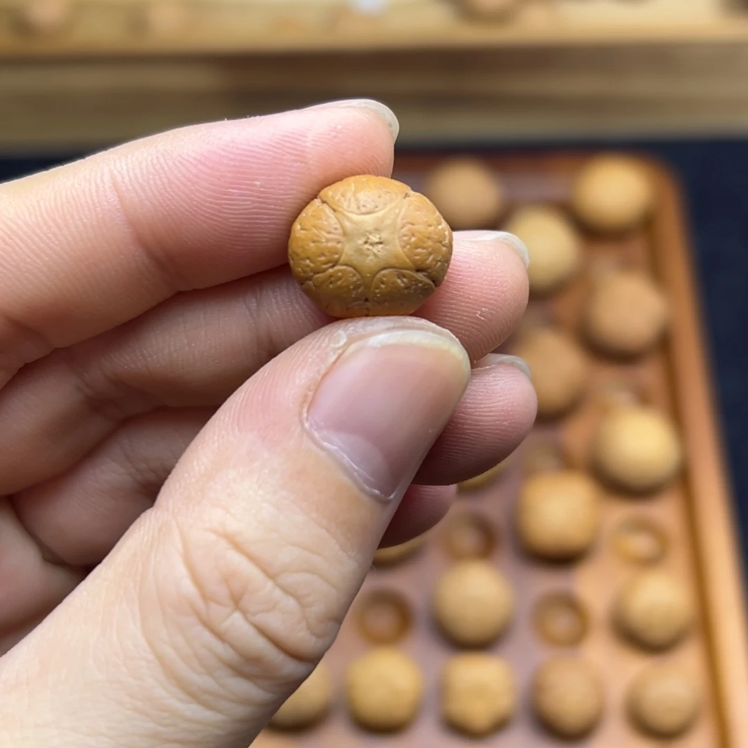 手串凤眼菩提15.6五星上将