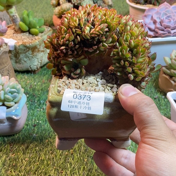 0373啊啊啊啊啊啊啊啊