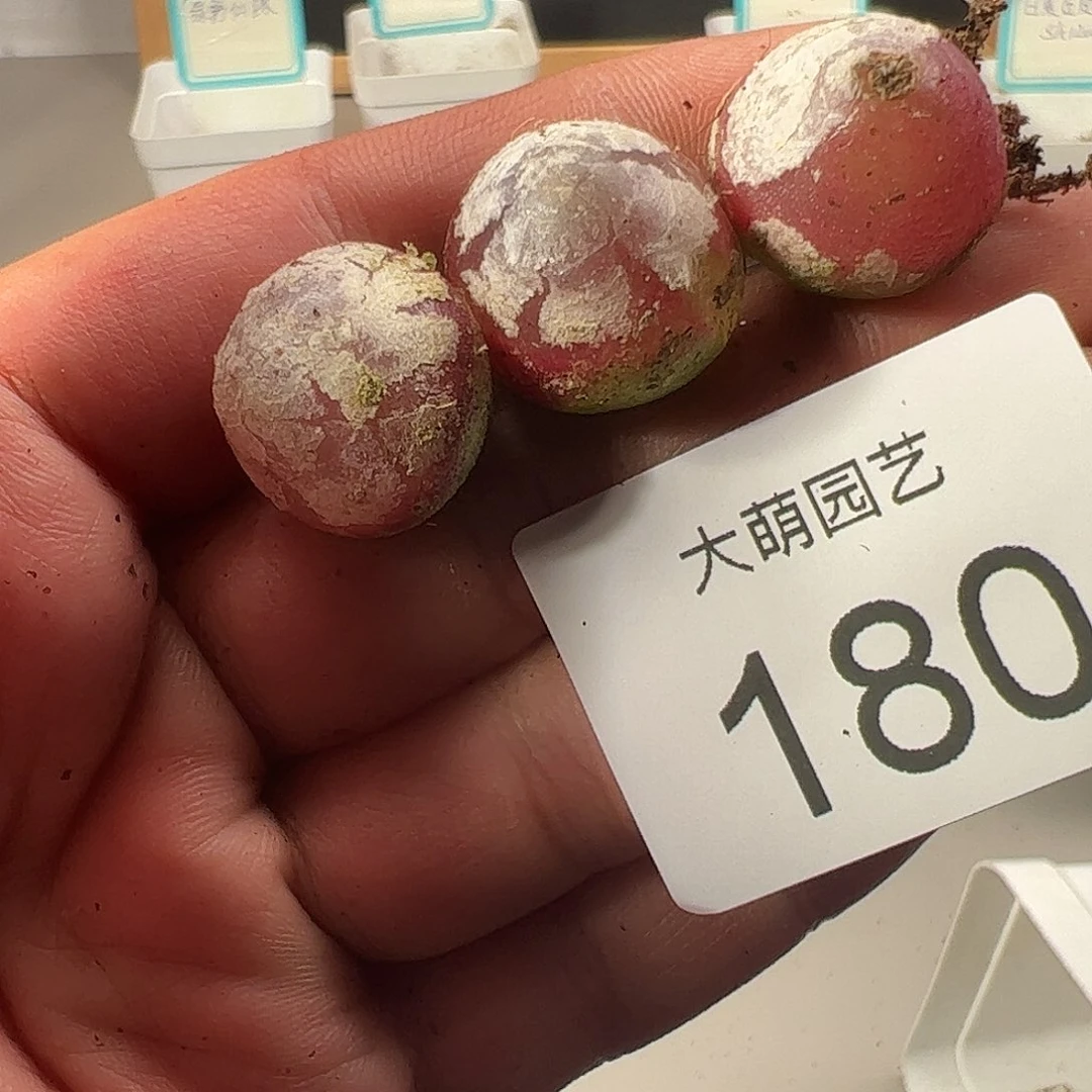 0000180 一物一拍……