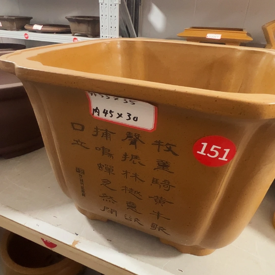 紫砂其他紫砂花盆