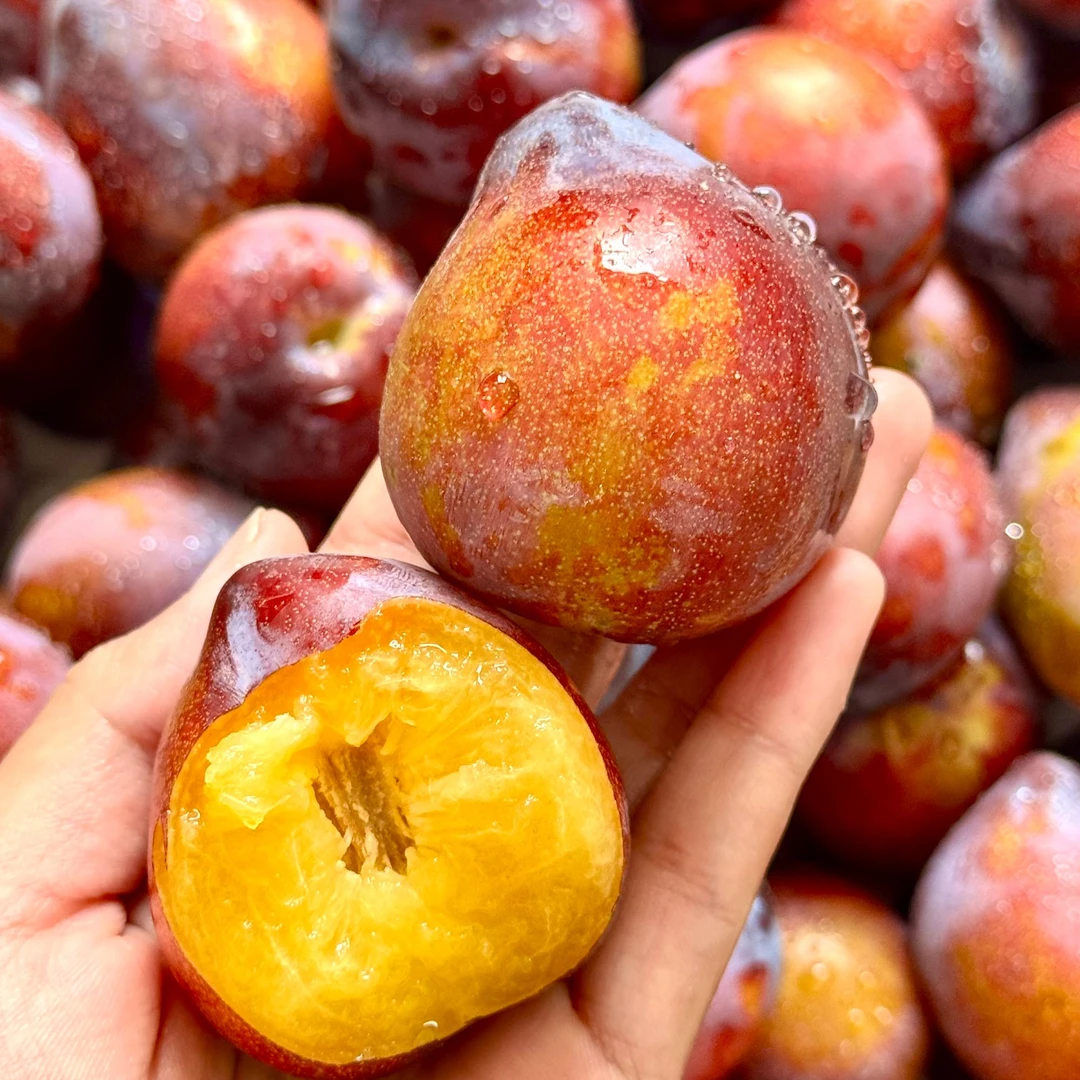 【香甜多汁】东北松原 桃李子  果园直摘 产地直发 5斤