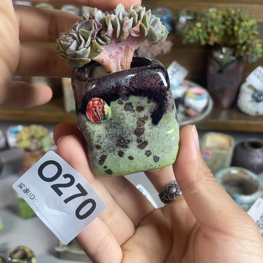 小白孤品 不含肉 内口3.2*3百搭