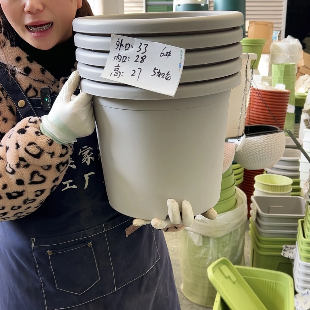 四季盆6#灰白5个无托