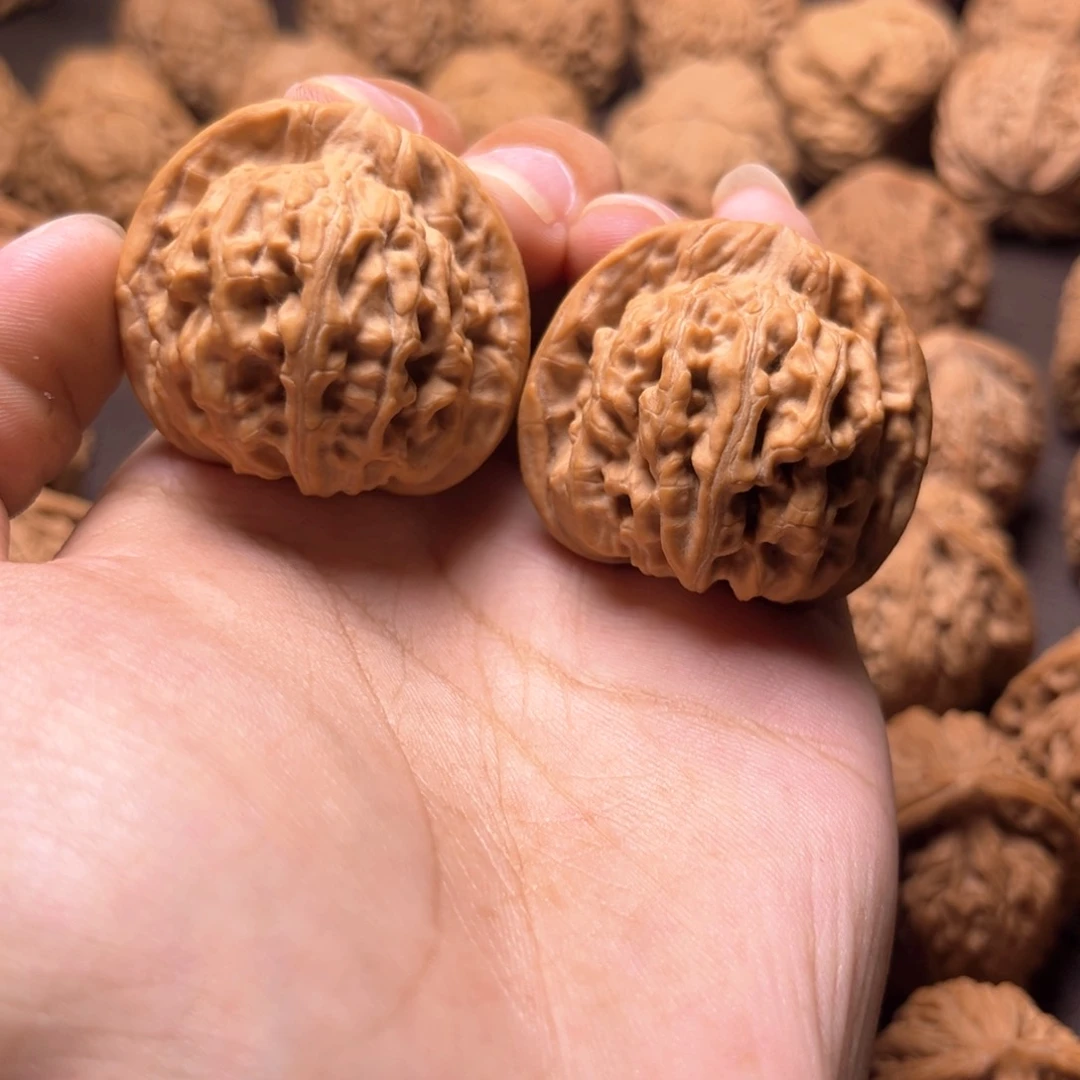 小***粥天地天地天地天地37