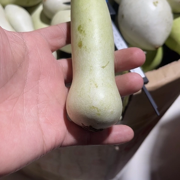 非洲紫檀（红花梨）酒**子