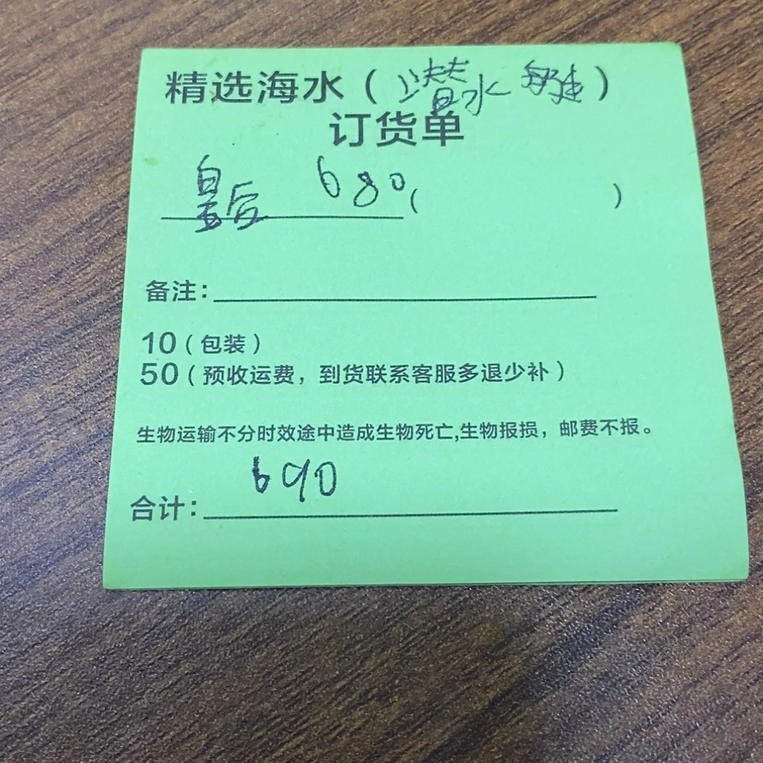 海水鱼皇后一只小尺寸