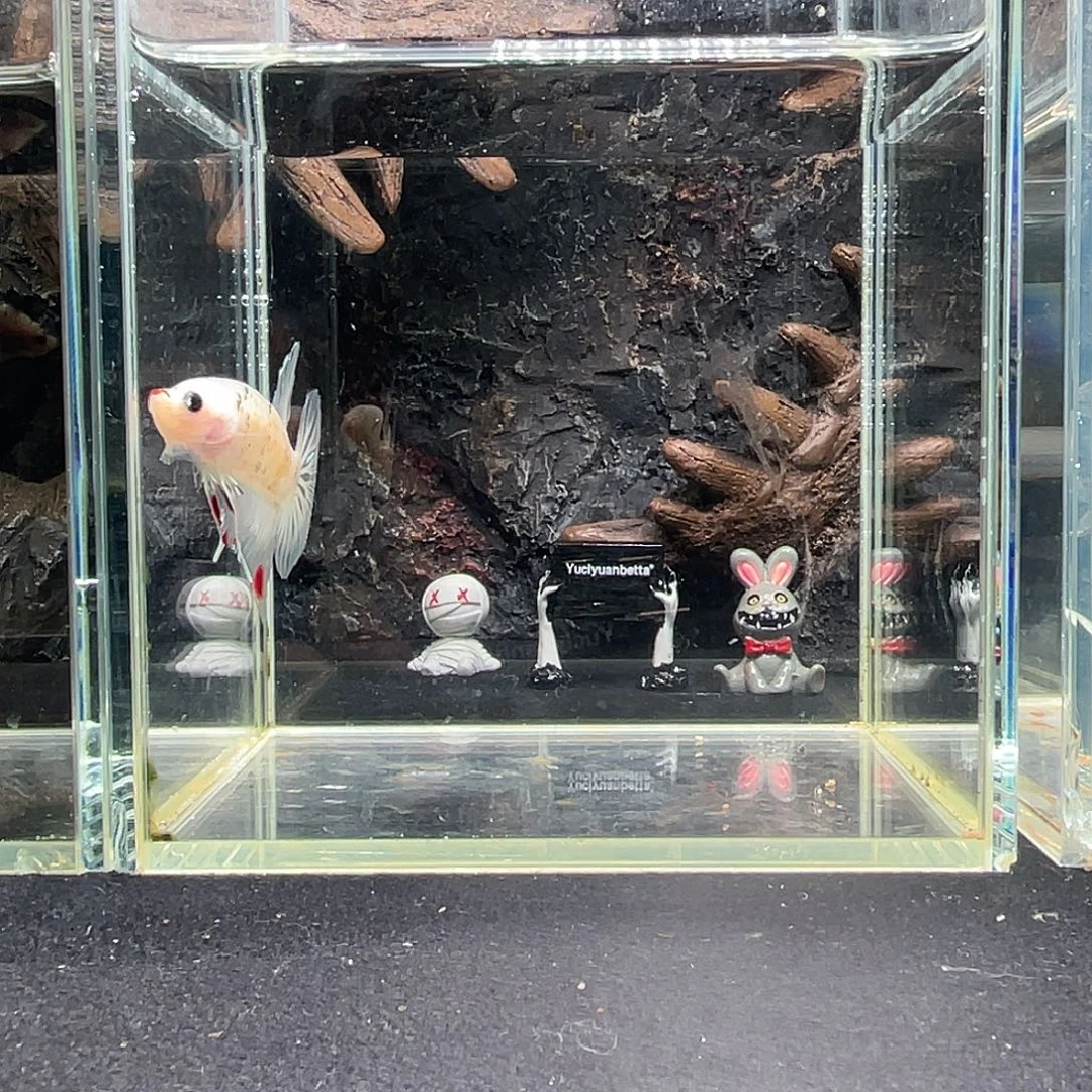 斗鱼十月八日竞价