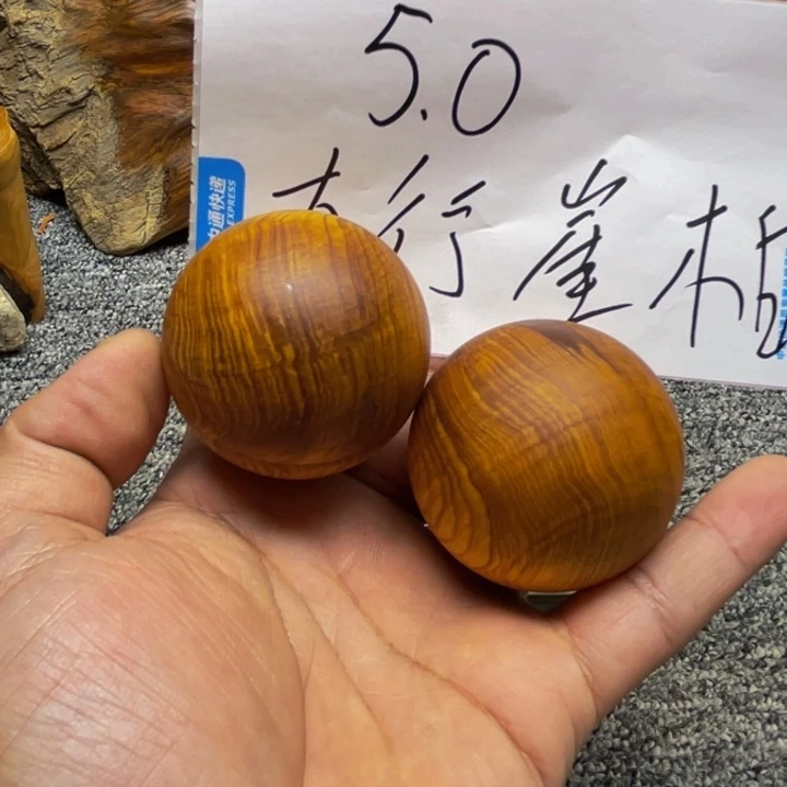 柏木（崖柏）崖柏206