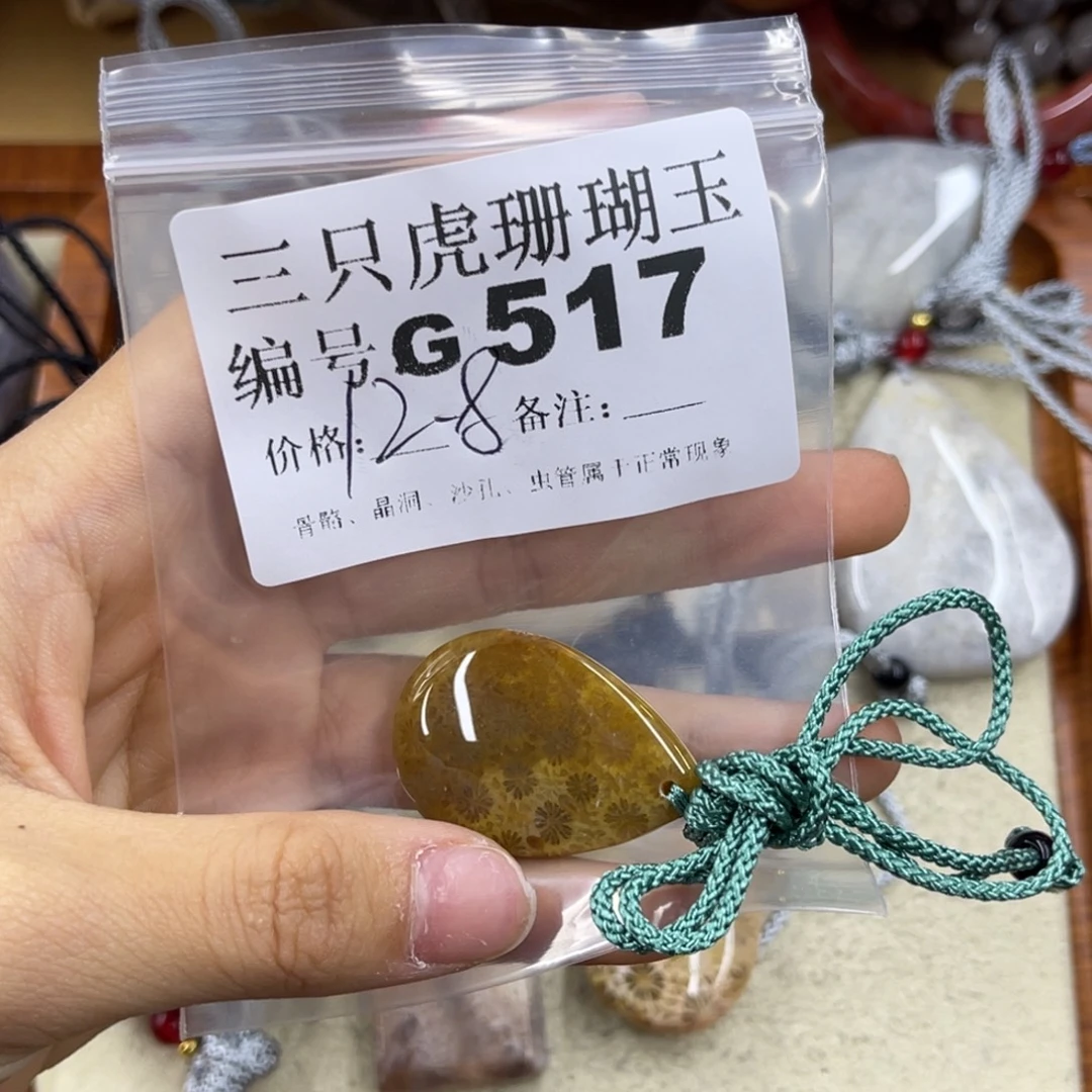 今***天硅化珊瑚（珊瑚玉）未镶嵌h