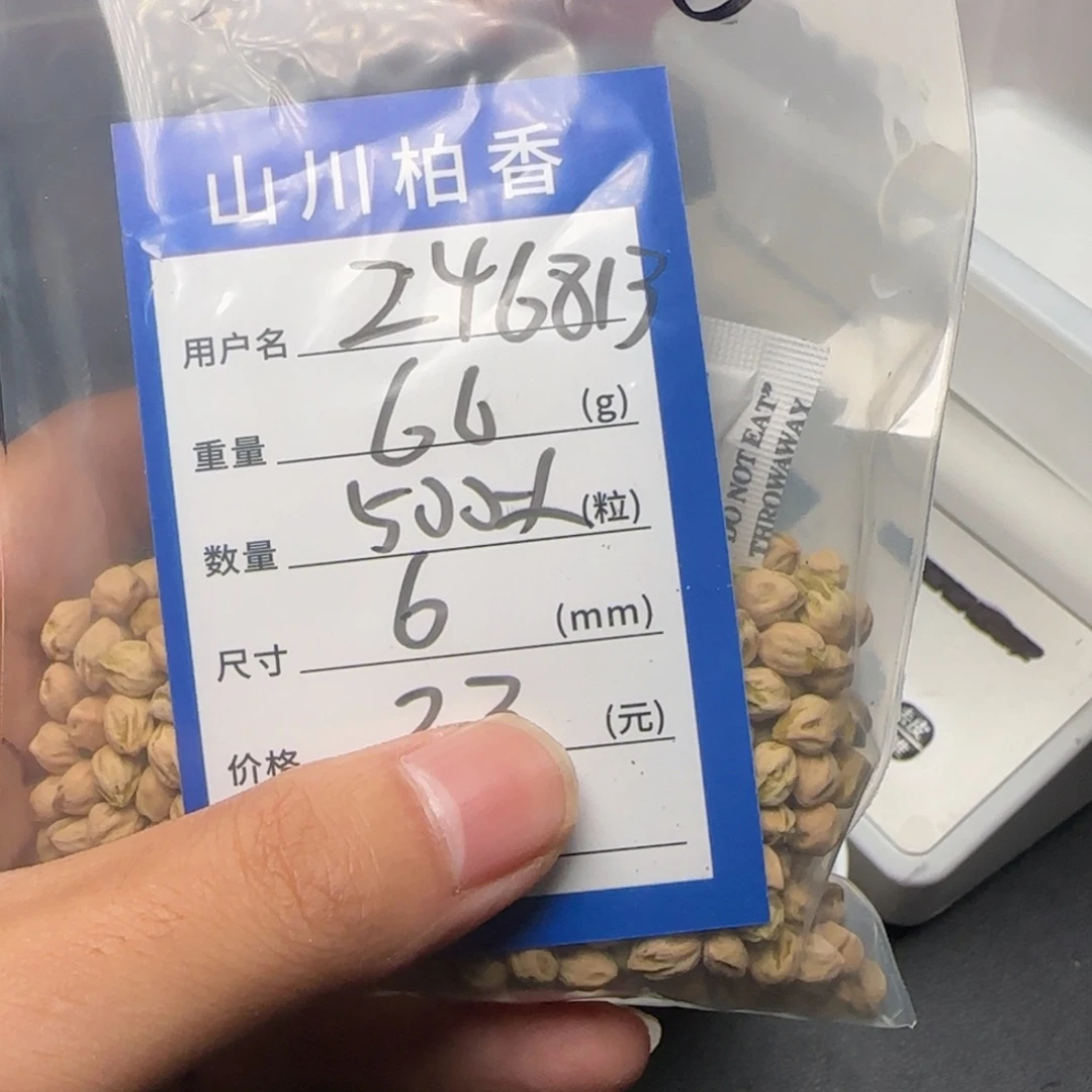 2***9柏香籽/百香籽吊坠