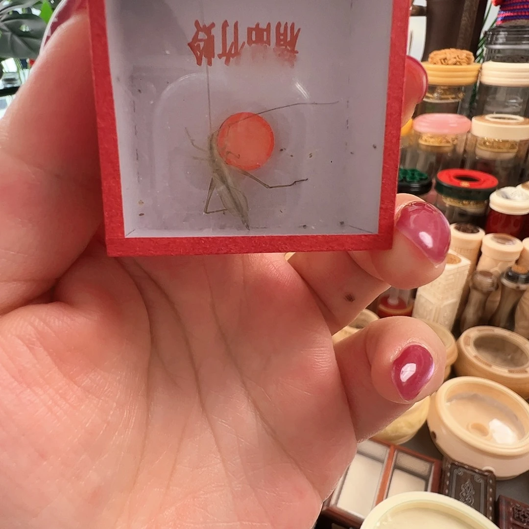 @***@哈哈哈哈哈天水两个