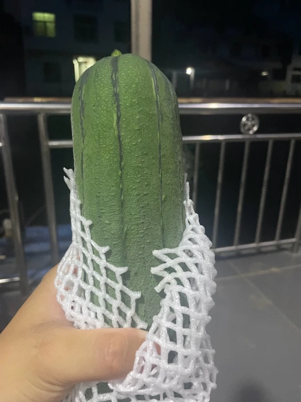 福建南平老品种丝瓜口感丝滑