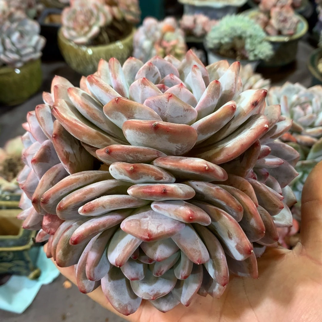 哈哈哈哈哈哈哈哈哈哈哈