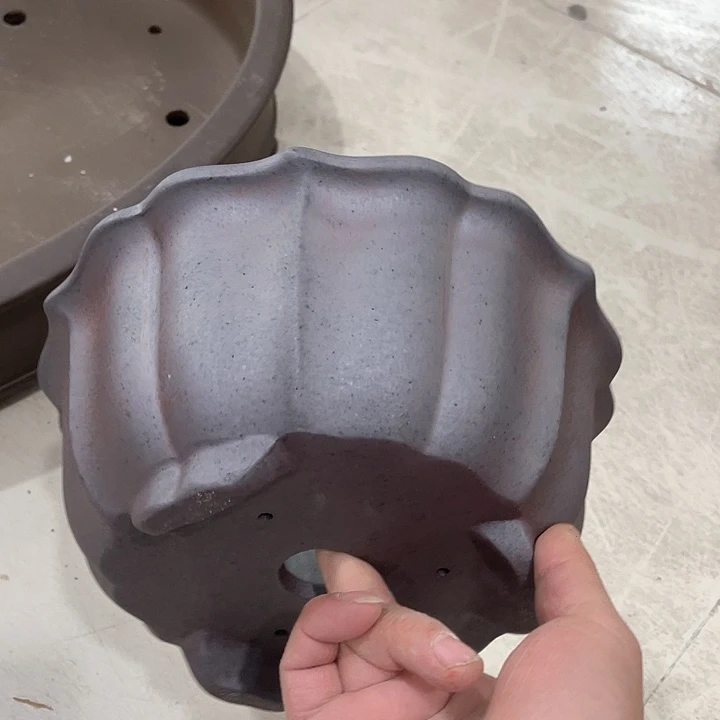 紫砂花盆这个世界上没有什么是