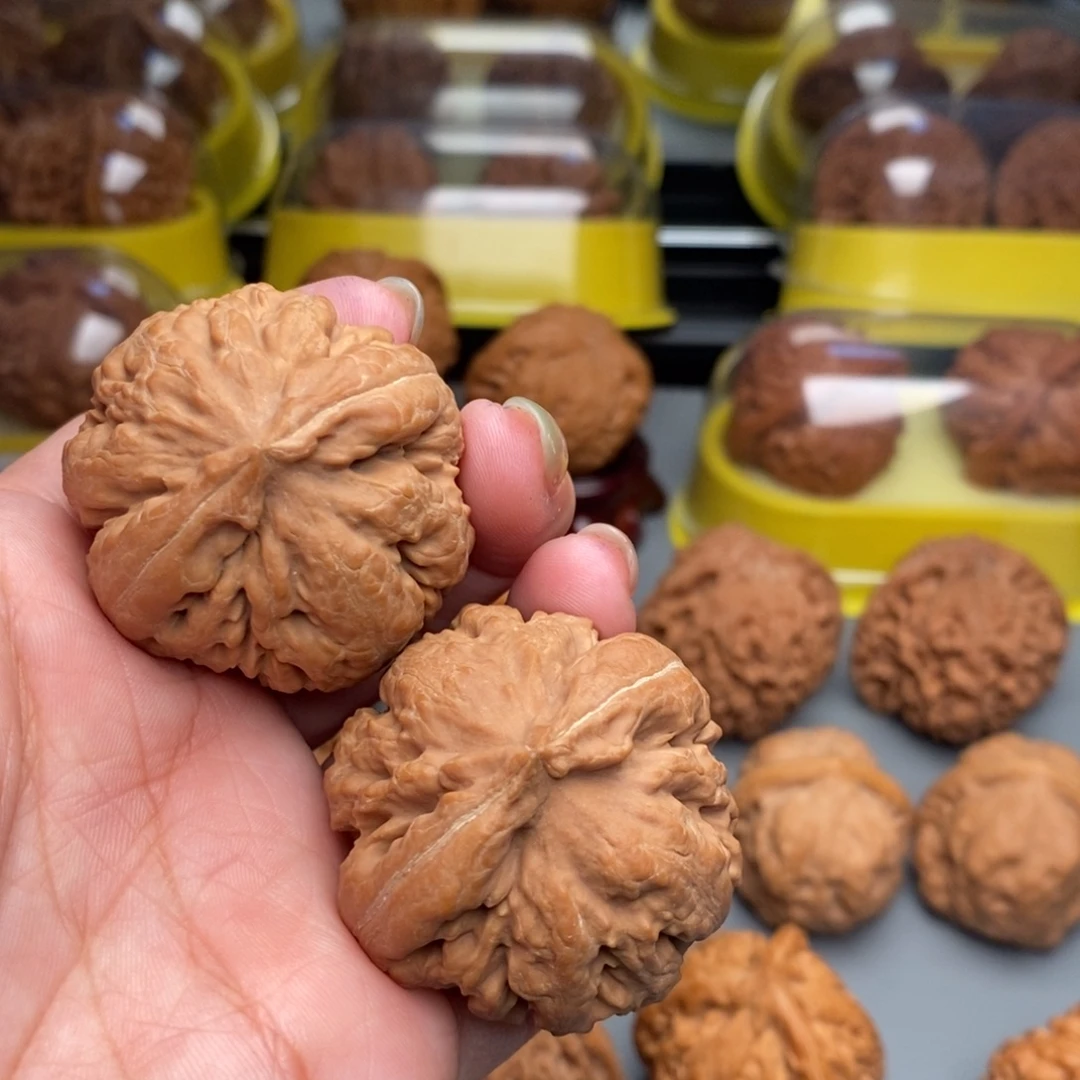 木质类文玩核桃霸王龙