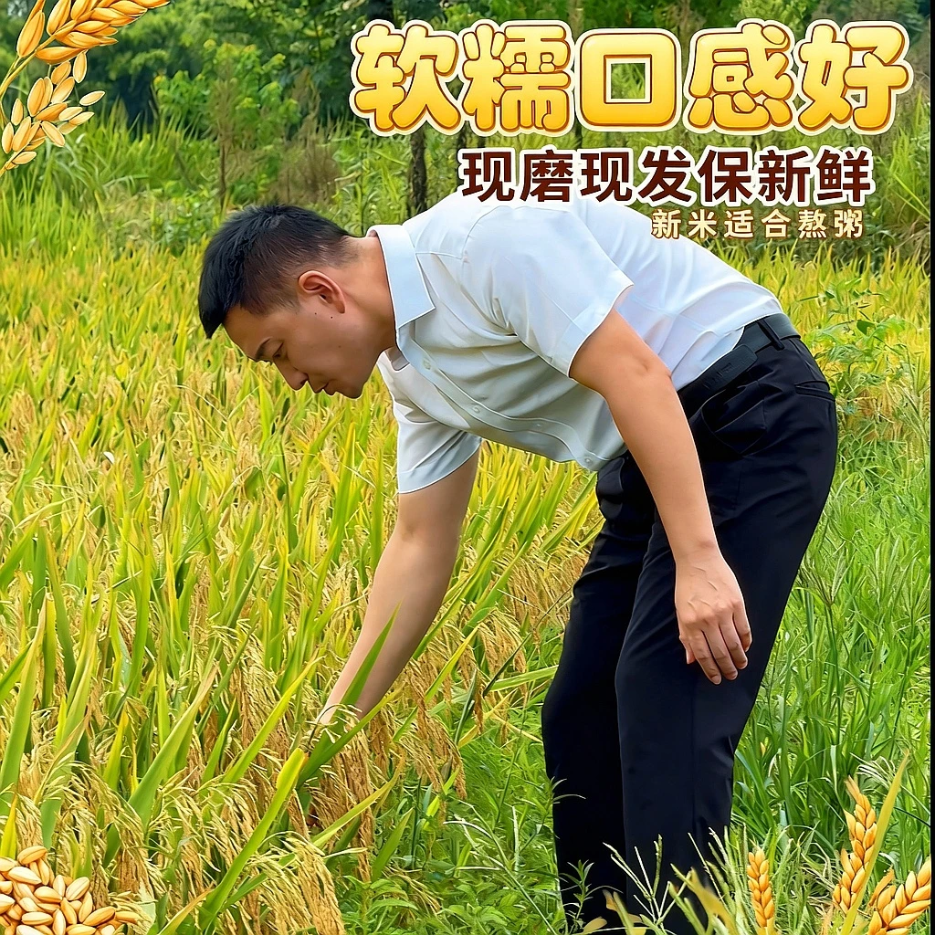 【邓书记助农】2025年新米、自种软糯、10斤农家长粒米 颗粒饱满