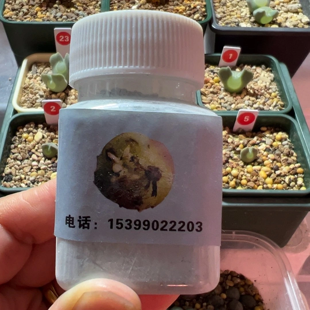 多肉植物专用生根粉