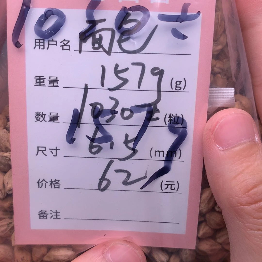 面****热振柏香脖挂108散籽