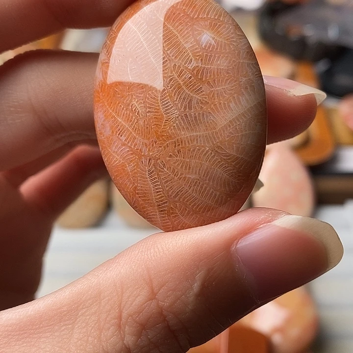 逆***薇硅化珊瑚未镶嵌颈饰