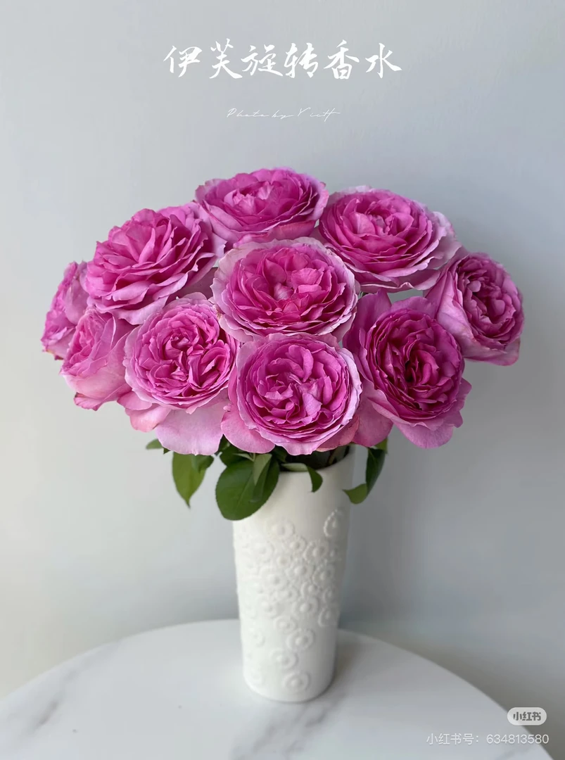 （云昊）单头伊芙旋转香水10支！三件顺丰空运20%不售后