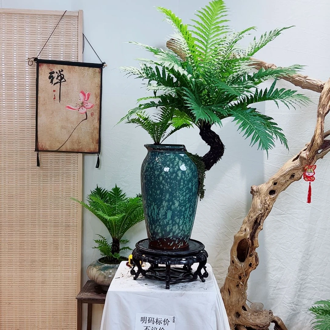 春***8无花朵鱼鱼鱼鱼鱼