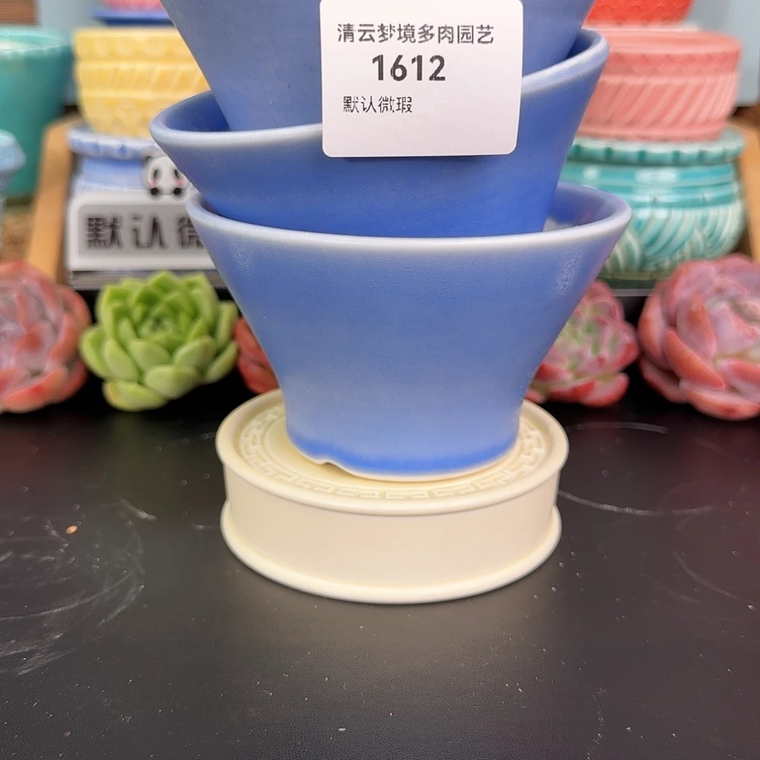 【闪购商品】1612 10口花盆1个微瑕