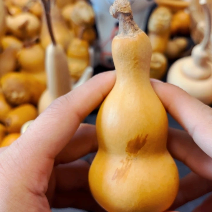 肖****）8888888888888888888