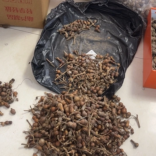 花皮草里金624个，抽64个抽共315元