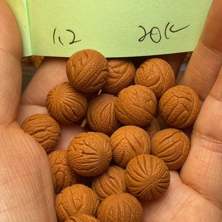 吊坠桃核秦岭龙纹桃核12