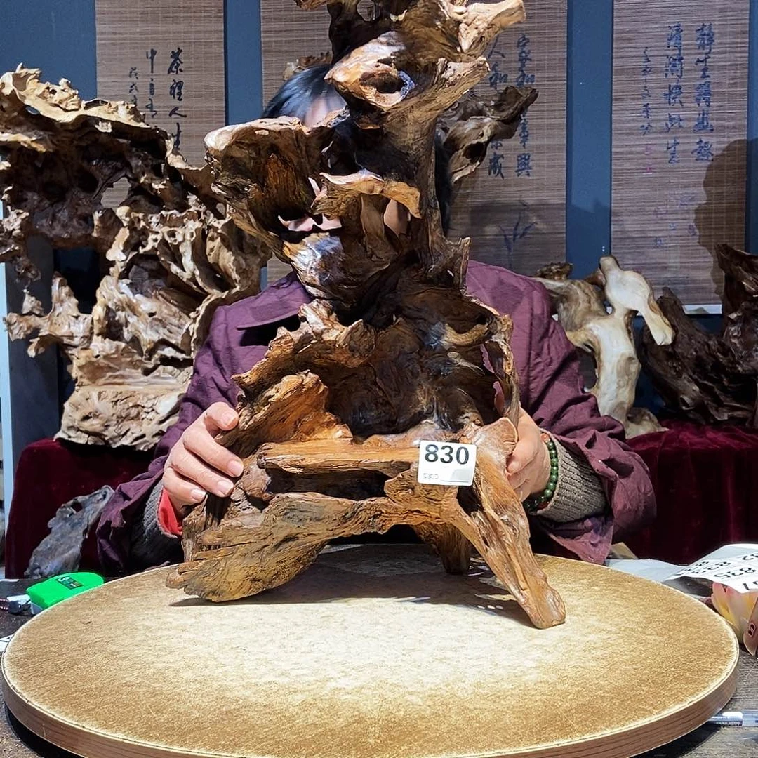 相***己830。株木随行根艺