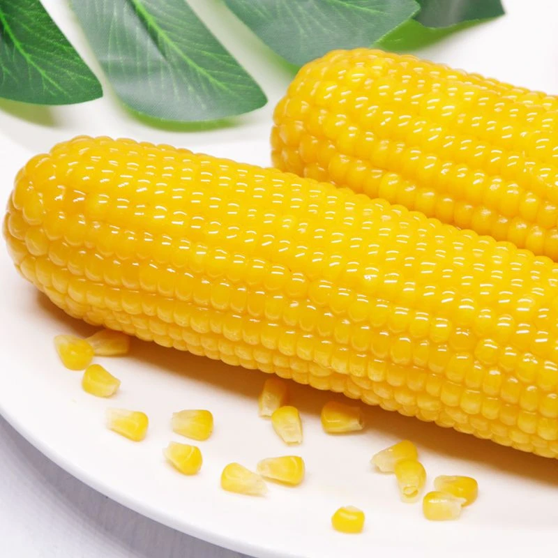 2025年东北新鲜香甜黄糯玉米独立真空包装10根整箱5斤