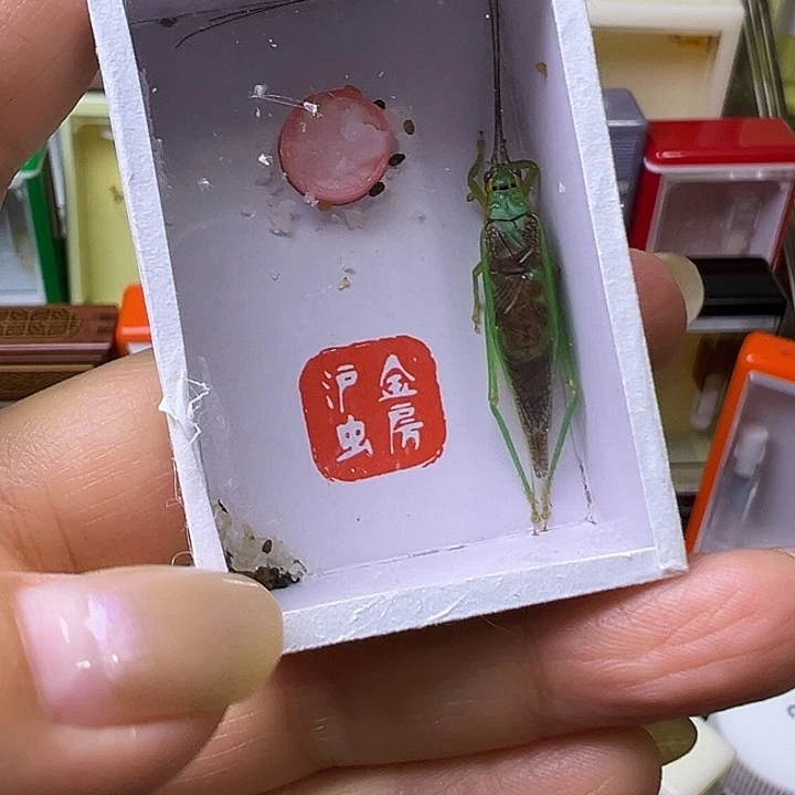 永***远哈哈哈哈哈哈哈哈哈哈哈
