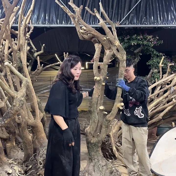 无花朵小叶紫一物一拍1300