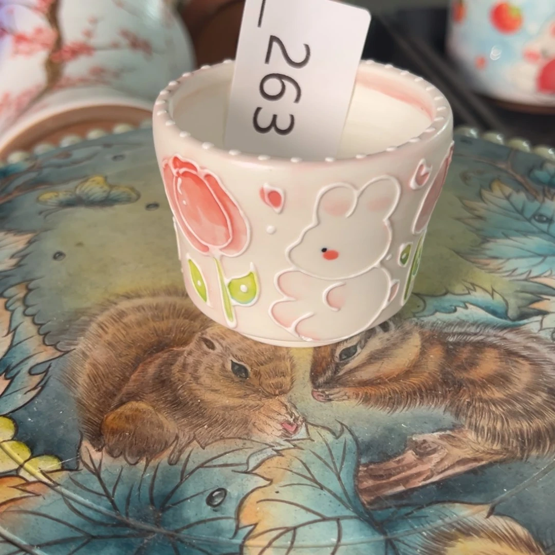 263多肉花盆   1个