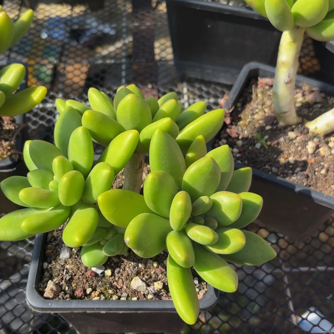 肉***肉哈哈哈哈哈就很斤斤计较你呢